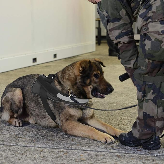 Bolux Dog Harness, No-Pull Reflective Dog Vest, Breathable Adjustable Pet Harness with Handle for Outdoor Walking - No More Pulling, Tugging or Choking (Black, M)-PawvioPets