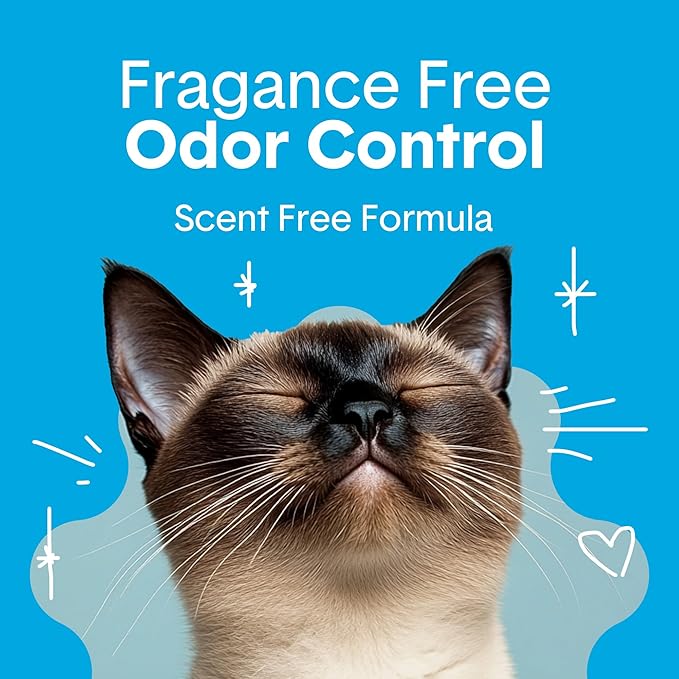 Boxie® Unscented 30 Day Odour Control Clumping Clay Cat & Kitty Litter 16 lb, 99.9% Dust-Free, Hard Flat Top® Clumps, No Fragrances No Fillers, Long-Lasting, Easy to Scoop-PawvioPets