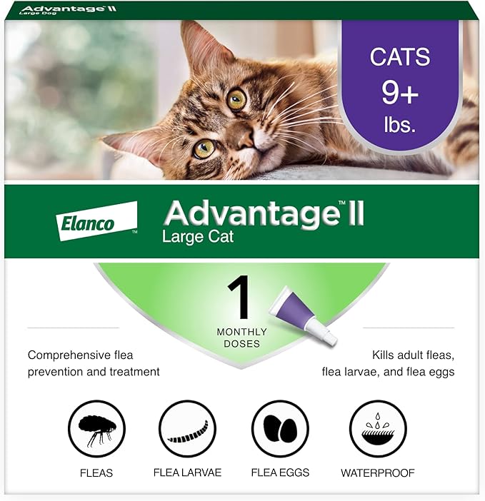 Advantage II Large Cat Vet-Recommended Flea Treatment & Prevention | Cats Over 9 lbs. | 1-Month Supply-PawvioPets