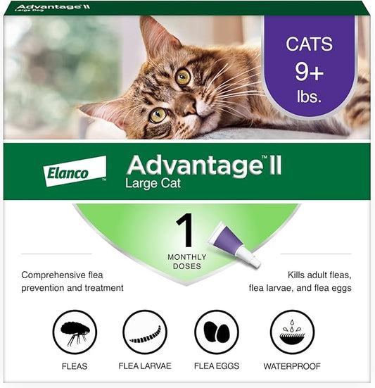 Advantage II Large Cat Vet-Recommended Flea Treatment & Prevention | Cats Over 9 lbs. | 1-Month Supply-PawvioPets