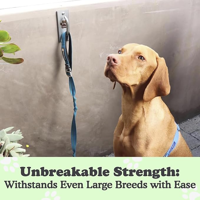 Canine Hitch- Secure Dog Leash Parking Mounted Indoor – Outdoor Wall Hook - Tie Out Stainless Steel Practical Lead Management for Home & Business, Standard Size-PawvioPets
