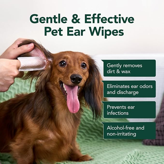 Dog Ear Cleaner Wipes - Dog Ear Infection Treatment Fast Relief from Ear Itching and Inflammation, Cat Ear Wipes Gently Remove Ear Wax Debris and Smelly (50 Pcs, Lavender)-PawvioPets