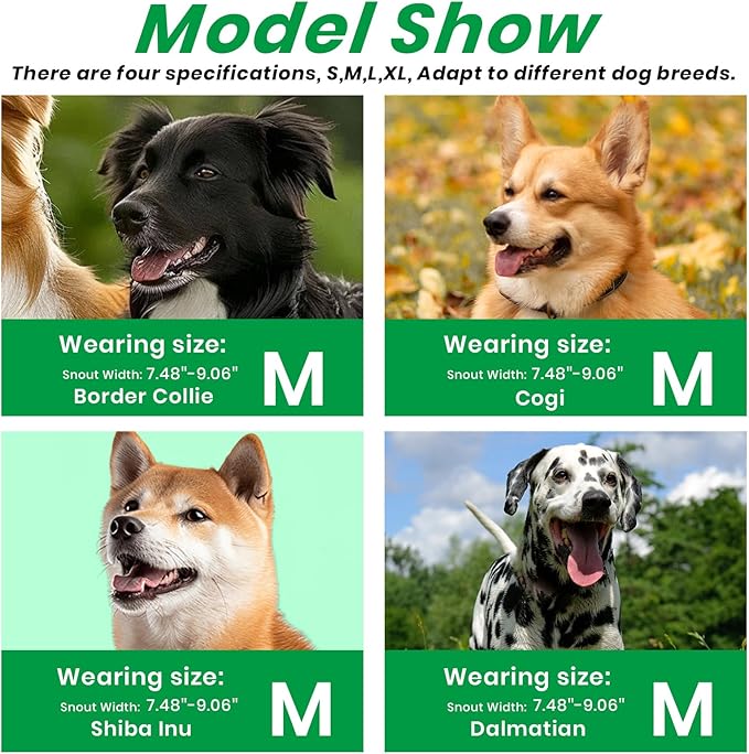 Dog Muzzle, Basket Muzzle for Small Medium Large Dogs, Anti-Biting and Chewing, Lightweight & Sturdy Cage Design, Allows Panting & Drinking, Ideal for Grooming & Training(Green Size M)-PawvioPets