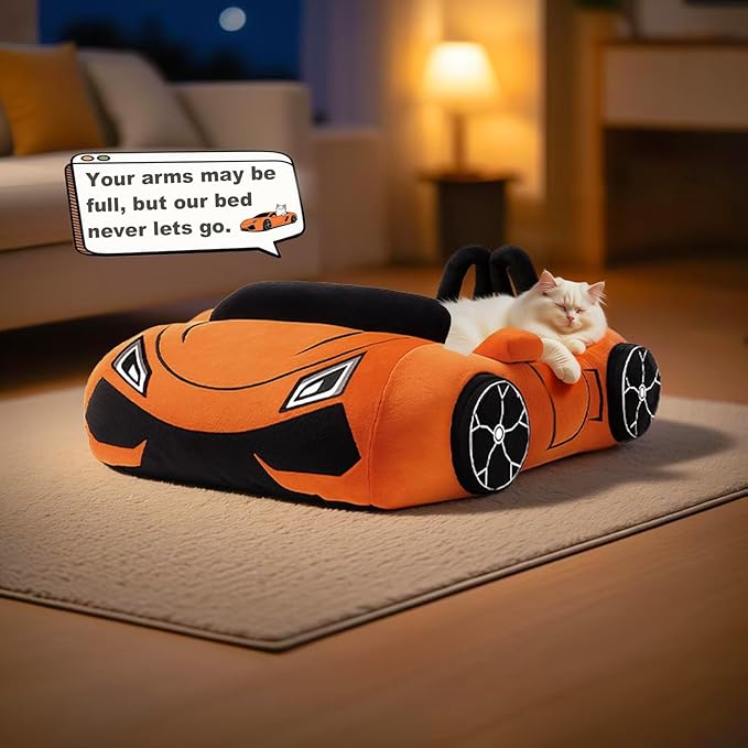 Cute Cat Beds Kitten Beds, Soft Small Dog Beds, Washable Pet Beds for Puppy and Kitty, Funny Supercar Cat Toys, 24 Inch-PawvioPets