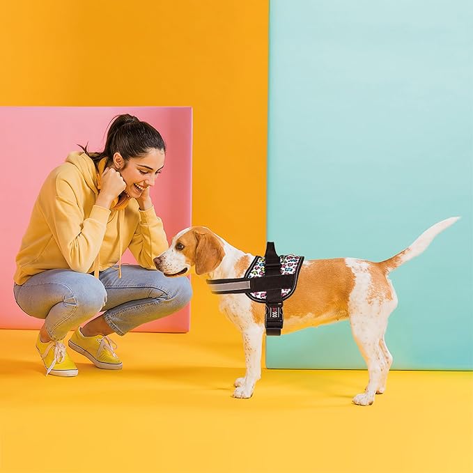 Dogline Dog Harness, Reflective No-Pull Adjustable Vest with Handle for Walking, Training, Breathable, No - Choke Harness for Small, Medium or Large Dogs Room for Patches Leopard Rainbow M 22"-28"-PawvioPets
