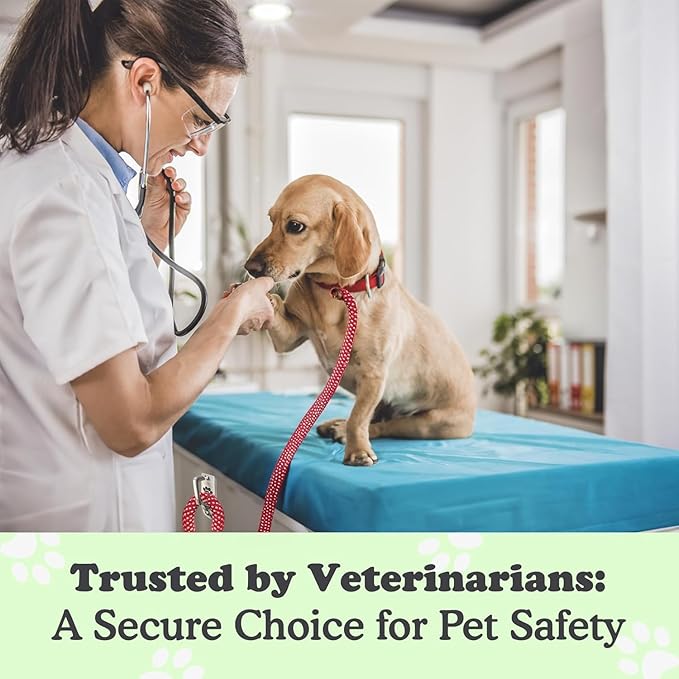 Canine Hitch- Secure Dog Leash Parking Mounted Indoor – Outdoor Wall Hook - Tie Out Stainless Steel Practical Lead Management for Home & Business, Standard Size 2 Pack-PawvioPets