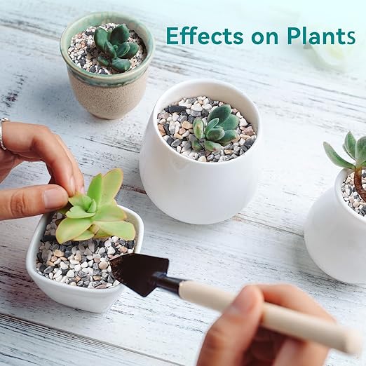 5 lbs Small Rocks for Succulents, 1/5 Inch Pebbles for Indoor Plants, Decorative Pea Gravel for Terrarium, Vases, Aquariums, Fish Tank, Drainage Rocks for Potted Plants, Bamboo,Crafts, Cactus-PawvioPets