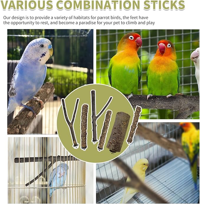 Bird Toys, Natural Parrot Toys for Small Macaws, Budgies, Lovebirds, Finches, Small and Medium Sized Birds Peppercorn Wood Apple Tree Perch Wood Set-PawvioPets