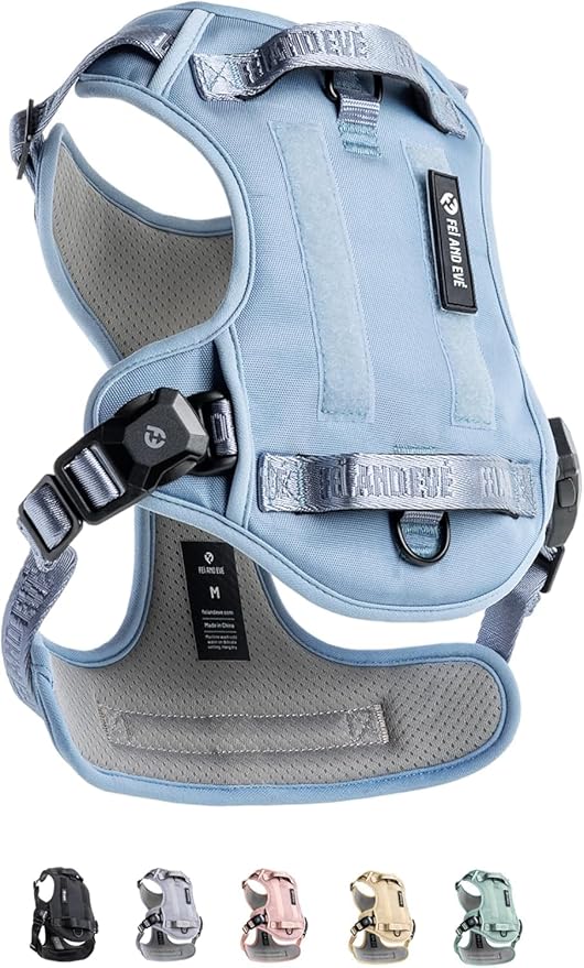 2025 New Edition, Fei & Eve MagEase Dog Harness - 3-Second Magnetic Buckles | 3-Point No-Pull Control | Heavy-Duty 900D Nylon | Dual Safety Handles | Breathable Mesh | Adjustable Fit |Small, Blue-PawvioPets