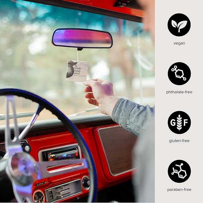 Fresh Squeezed Car Air Freshener - 4 Pack-PawvioPets
