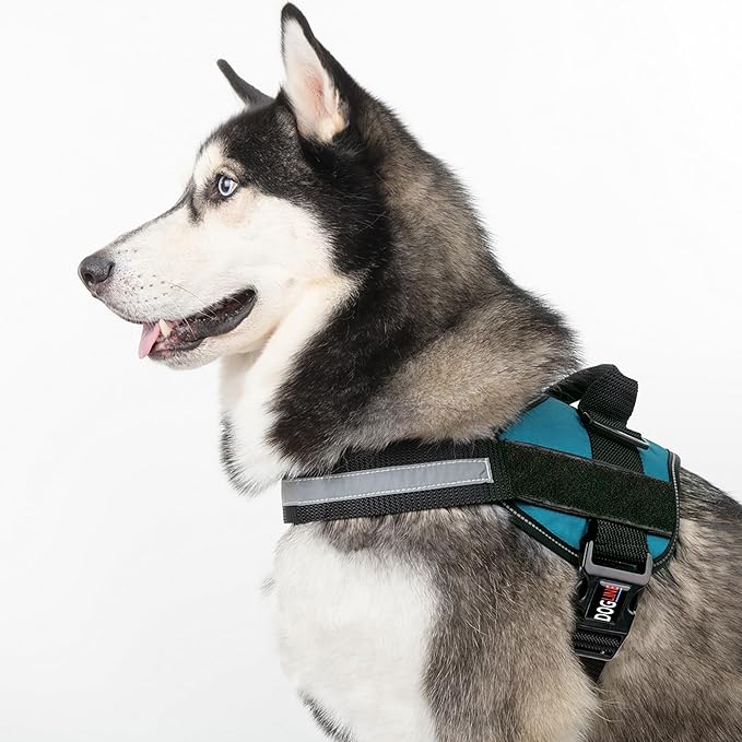 Dogline Dog Harness, Reflective No-Pull Adjustable Vest with Handle for Walking, Training, Breathable, No - Choke Harness for Small, Medium or Large Dogs Room for Patches Girth 22"-28" in Turquoise-PawvioPets
