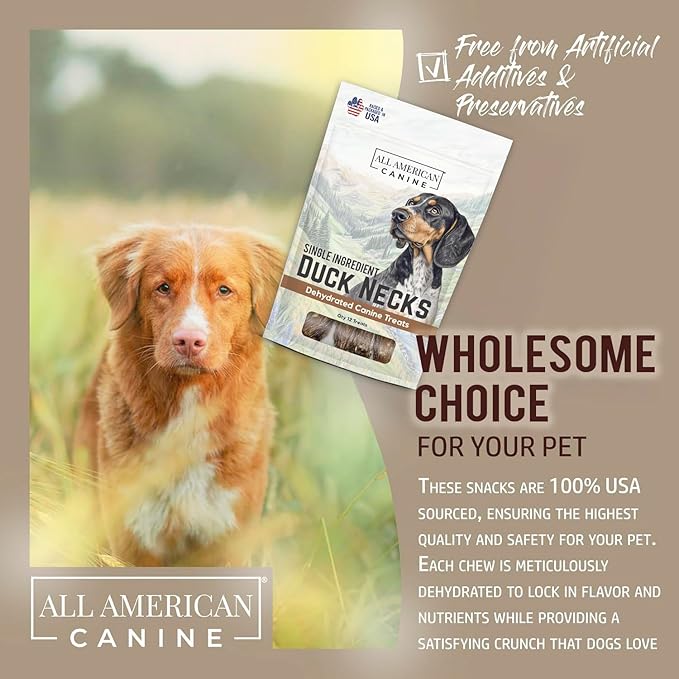 12 Natural Duck Neck Dog Treats – Single Ingredient, Dehydrated & Chewy – Low-Fat, High-Protein Training Reward – Made in USA-PawvioPets
