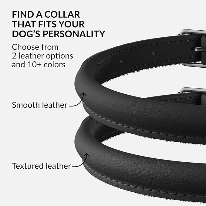 CollarDirect Rolled Leather Dog Collar, Soft Padded Round Puppy Collar, Handmade Genuine Leather Collar Dog Small Large Cat Collars 13 Colors (8-11 Inch, Black Smooth)-PawvioPets