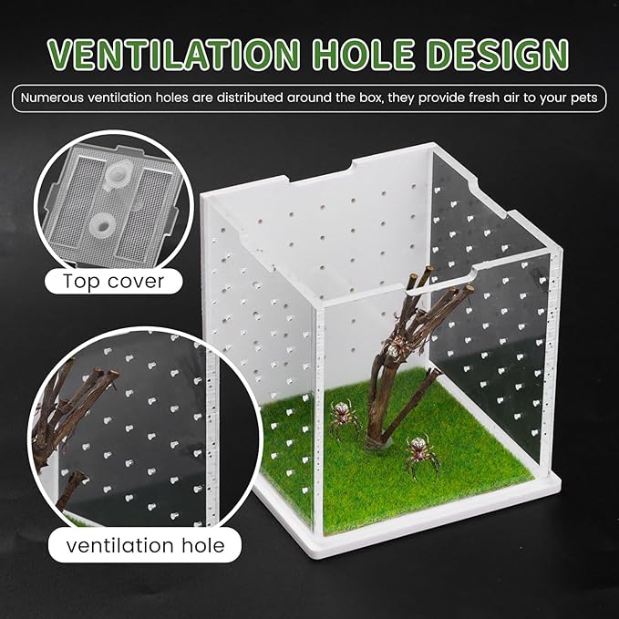 Acrylic Jumping Spider Enclosure, 2.95×2.95×2.87in Transparent Reptile Terrarium, Versatile Tarantula Enclosure for Small Reptiles/Insects, Small Reptile Tank with Dropper, Jumping Spider Accessories-PawvioPets