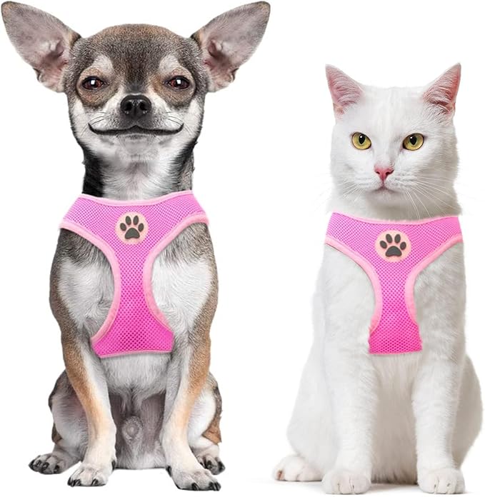 BINGPET Small Dog Harness - Breathable Mesh Puppy Cat Harnesses - No Pull Adjustable Dog Harness Dog Vest Harness for Small and Medium Dogs-PawvioPets