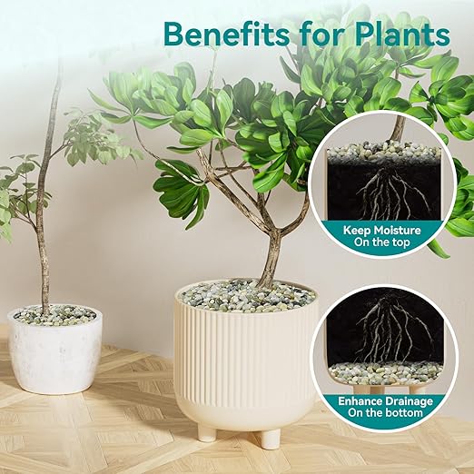 5 lbs Jade Pebbles for Indoor Plants, 3/8" Plant Rocks for Pots Indoor, Decorative Small Stones for Plants, Bamboo,Vase, Succulent, Highly Polished Small River Rocks-PawvioPets