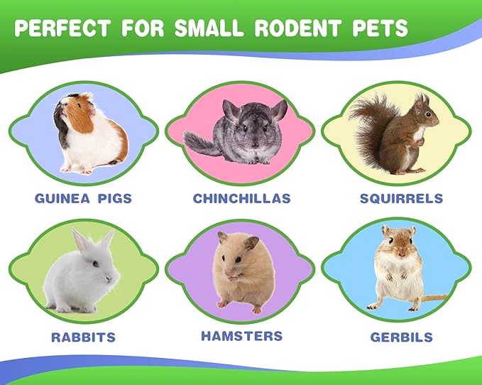 Abizoo Bunny Chew Toys for Rabbits,18PCS Natural Apple Wood Sticks with Petals Good for Chinchillas Guinea Pig Hamster Teeth Care, Bunny Small Pet Treats Teething Toys| Natural Organic Safe-PawvioPets