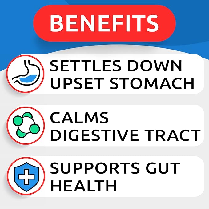 BARK&SPARK Pumpkin Powder for Dogs - 16.2oz Powdered Fiber Supplement and Stool Softener - Upset Stomach, Food Sensitivity - Improve Digestion - 16.2oz Powder-PawvioPets