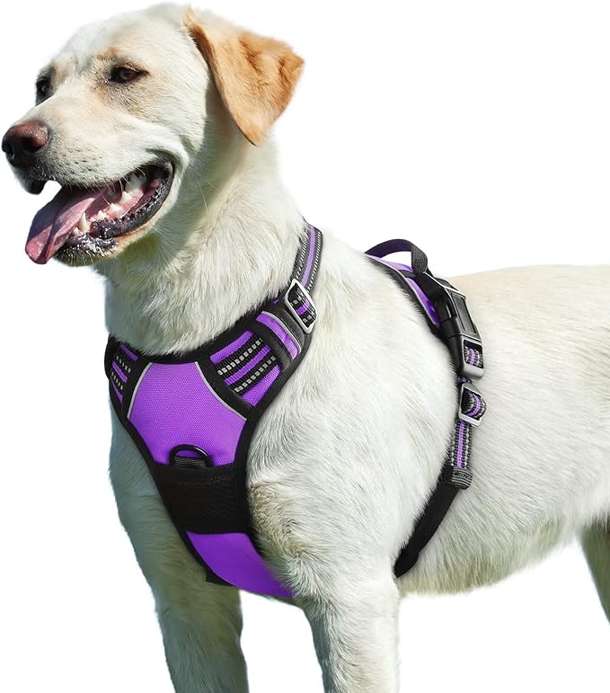 Eagloo Dog Harness for Large Dogs, No Pull Service Vest with Reflective Strips and Control Handle, Adjustable and Comfortable for Easy Walking, No Choke Pet Harness with 2 Metal Rings, Purple, L-PawvioPets