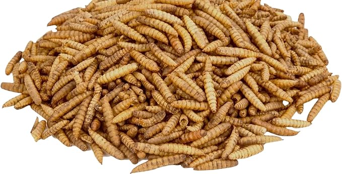 Dried Black Soldier Fly Larvae, 100% Natural, Non-GMO, High-Protein Treats for Chickens, Layer Hens, Wild Birds, Ducks, 13.3 oz, Pack of 4-PawvioPets
