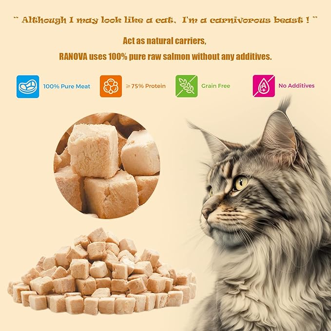 Freeze Dried Cat Treats - 100% Salmon Grain Free Raw - Natural Balance Limited Ingredient High Protein Cat Snacks 115g/4.1oz - Picky Eater Challenger-PawvioPets