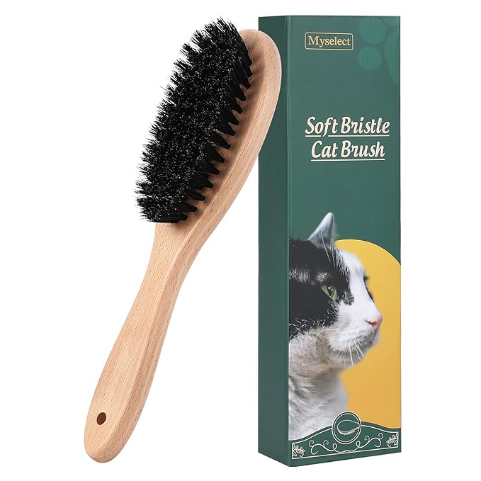 Boar Bristle Cat Brush with Wooden Handle, Soft and Gentle, Reduce Shedding, Make Coat Soft, Smooth and Shinny, Daily Grooming Tool for Short Haired Cats, Kitten-PawvioPets