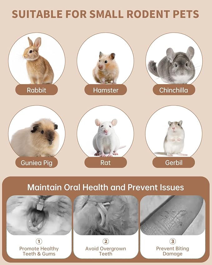 31PCS Rabbit Chew Treat Toys for Teeth Health, Natural Bunny Enrichment Toys for Boredom & Stress Relief, Keep Busy Toys for Guinea Pig Chinchilla Hamster Rat Gerbil Degu Indoor Outdoor-PawvioPets