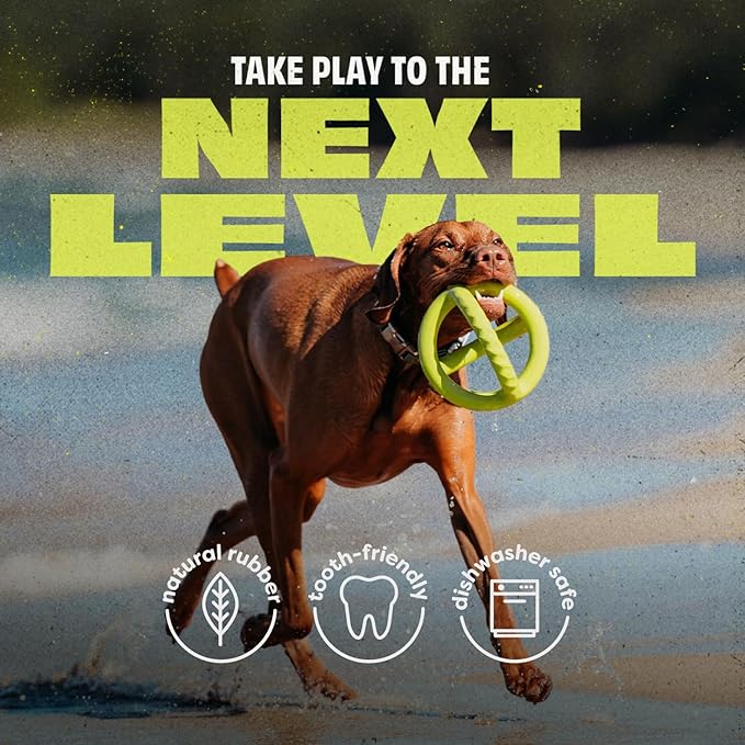 Benebone Natural Rubber Tug Interactive Dog Toy, Natural Rubber-PawvioPets