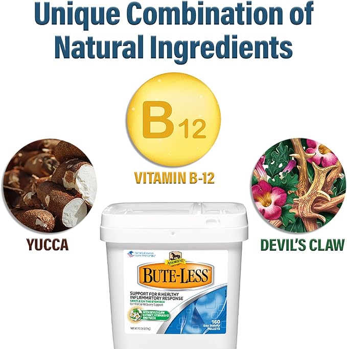 Absorbine Bute-Less Comfort & Recovery Support Supplement, Provides Long-Term Comfort, Gentle on Stomach, Includes Devil’s Claw, Vitamin B-12, Yucca, 10 lb / 160 Day Supply-PawvioPets
