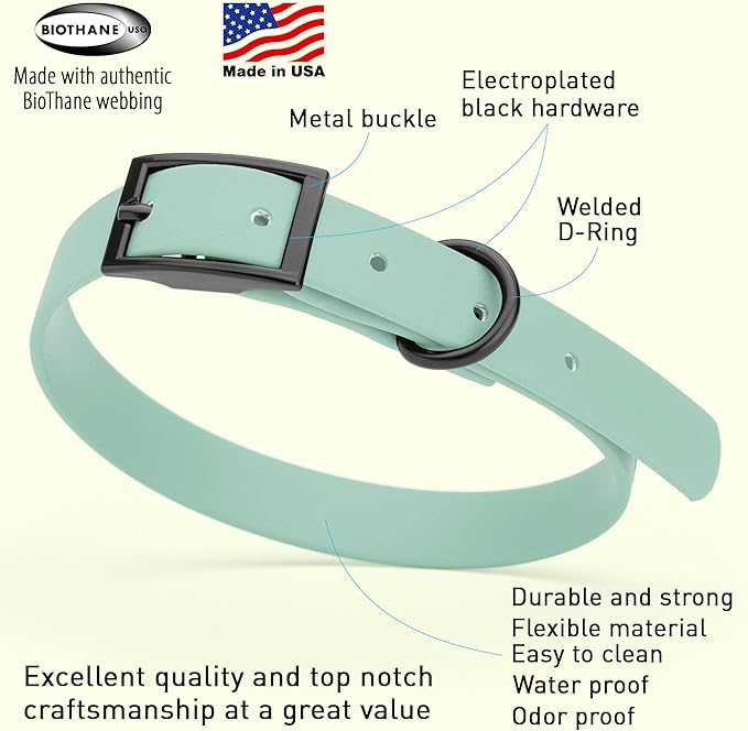 Dogline Biothane Waterproof Dog Collar Strong Coated Nylon Webbing with Black Hardware Odor- Proof for Easy Care Easy to Clean High Performance Fits Small Medium or Large Dogs, Sage Green-PawvioPets