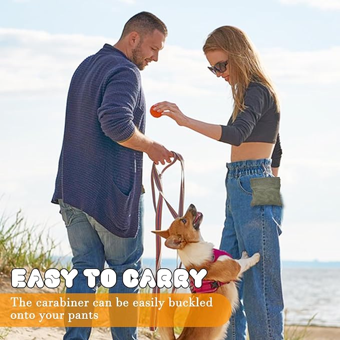 CONLI Dog Treat Pouch Portable Treat Pouches for Pet Training, Dog Training Treat Pouch with Carabiner, Auto Closing Pet Feed Snack Reward Pocket for Pet Travel or Outdoor Use-PawvioPets