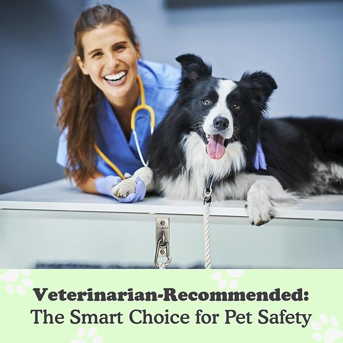 Canine Hitch- Secure Dog Leash Parking Wall Slim Hook with Clip 2 Pack - Tie Out Stainless Steel & ABS Mounting Plate for Strength - Practical Lead Management for Home & Business-PawvioPets