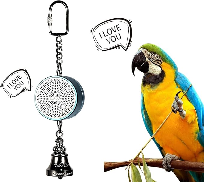 Colorday Bird Toys Parrot Talking Coach & Interactive Voice Bell for Parakeet, African Grey, Amazon Parrots, Quaker, Cockatiel, Conure (Blue)-PawvioPets