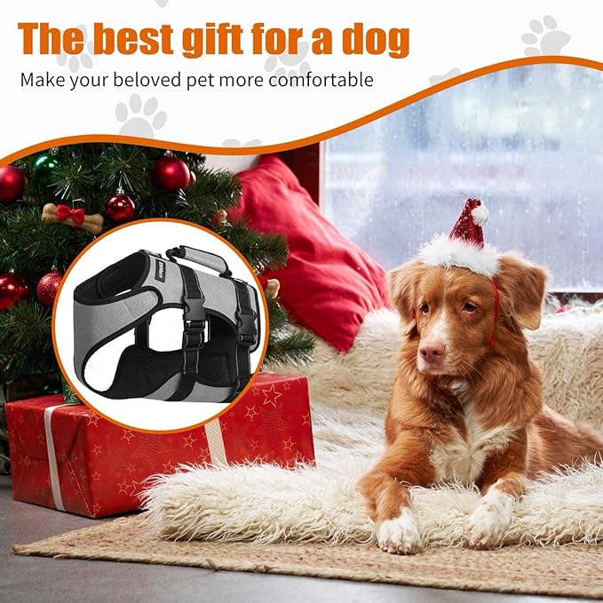 Ayquez Dog Lift Harness with Storage and Transport Bag, Dog Harness with Handle for Lifting & Hip dysplasia, arnés para Perros pequeños, pechera para Perros (Gray, L)-PawvioPets