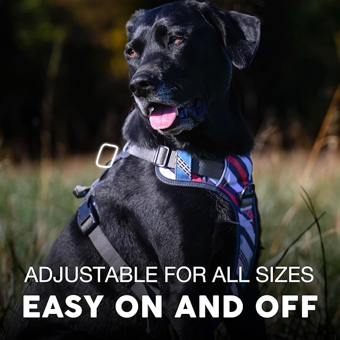 Embark Adventure Dog Harness, Reflective Trim No Pull Dog Harness Medium Sized Dogs - Military Grade Nylon, Front Clip with Gel Lined Handle.-PawvioPets
