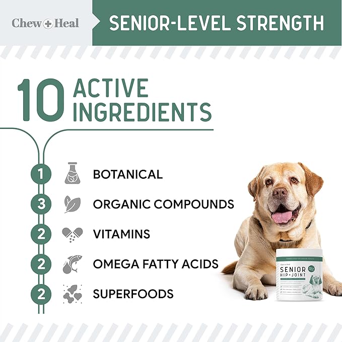 Glucosamine for Dogs Hip and Joint Supplement - 120 Senior Dogs Mobility Soft Chews - Made with Glucosamine, MSM, Chondroitin, Green Lipped Mussels and More - Made in The USA-PawvioPets