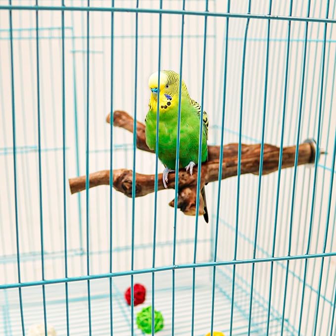2 Packs Parrot Bird Perches,Natural Wild Grape Stick Grinding Paw Climbing Standing Cage Accessories Toy for 3-4 Parakeets, Budgies, Lovebirds,Cockatiels (Style-1)-PawvioPets