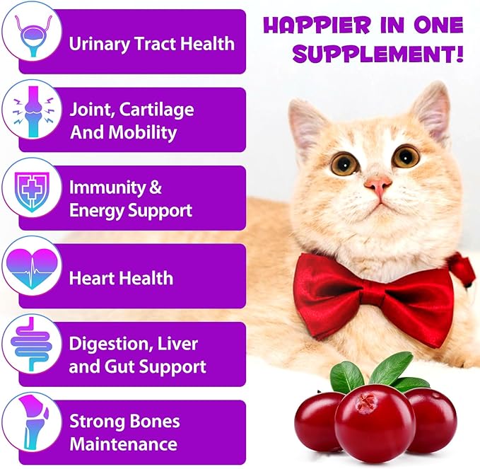 2PCS Liquid Multivitamin for Cat, 15 in 1 Cats Multivitamin Liquid Drops Supplements for Skin & Coat, Heart Health, Bones and Joint, Cat Vitamins with Glucosamine and MSM, Immune System Support-PawvioPets