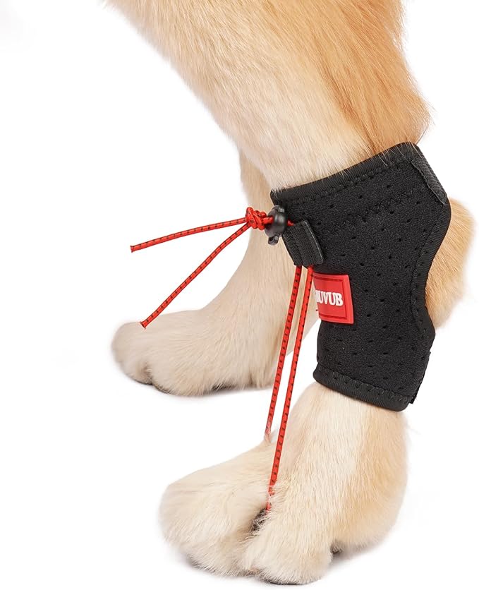 Dog Canine Knuckling Brace Rear Leg Dog Foot Brace Wrap for Toe Dragging Cause by Sciatic Nerve Insufficiency, Myelopathy, Herniated Disc (Small)-PawvioPets