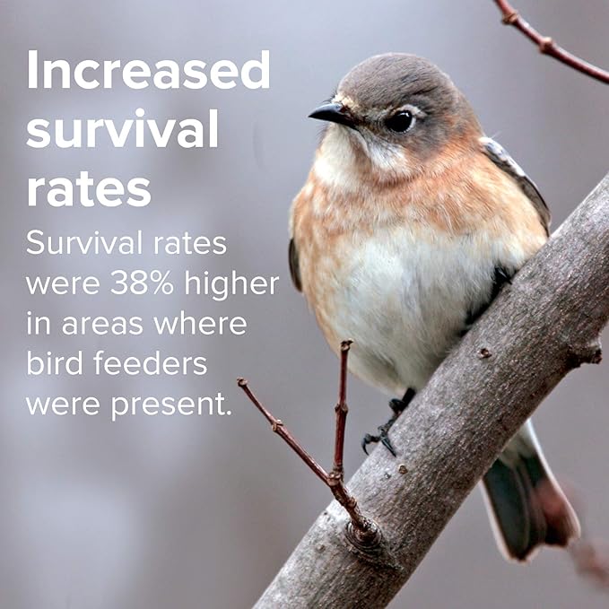 Blue Seal Nature's Choice Wild Bird Seed | High Energy Blend, Sunflower and White Safflower Seeds, No Filler | 20 Pound Bag-PawvioPets