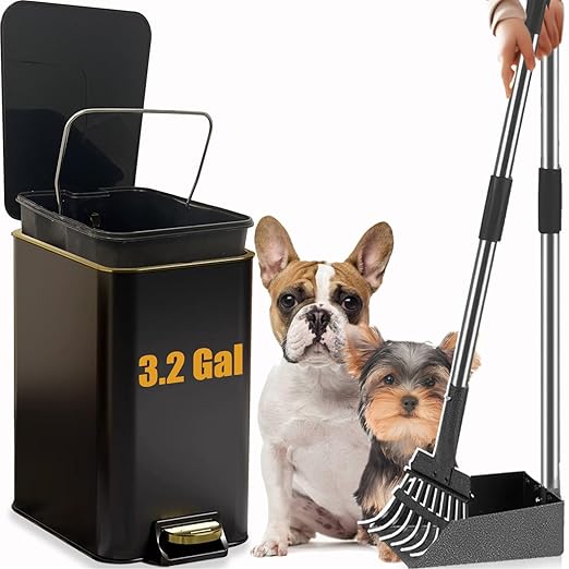Dog Poop Trash Can Outside Stainless Steel - Metal Pooper Scooper Set - 12L Dog Waste Trash Can Outdoor with Pedal - Backyard, Yard - Removable Inner Bin, Long Handle Tray and Rake - Black and Gold-PawvioPets