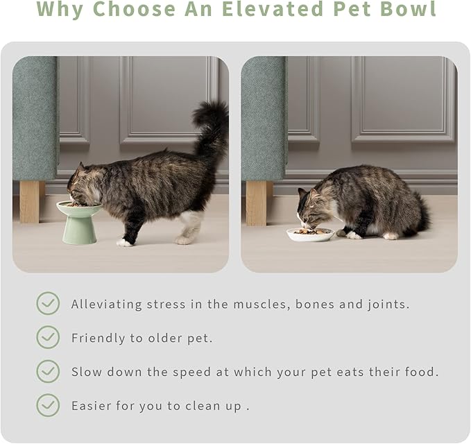 Extra Wide Elevated Ceramic Cat Bowl, 6.2" Shallow Dish for Whisker Fatigue Relief, 5" Height for Easy Feeding, Durable Raised Cat Food Bowls, Pack of 2, Sage Green-PawvioPets
