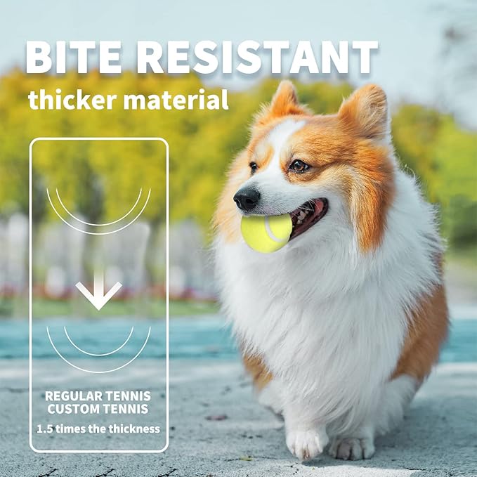 ALL FOR PAWS Interactive Super Bounce Tennis Balls Dog Toy, Pet Safe Toys for Exercise and Training, 2.5 Inch Diameter (6 Pack)-PawvioPets