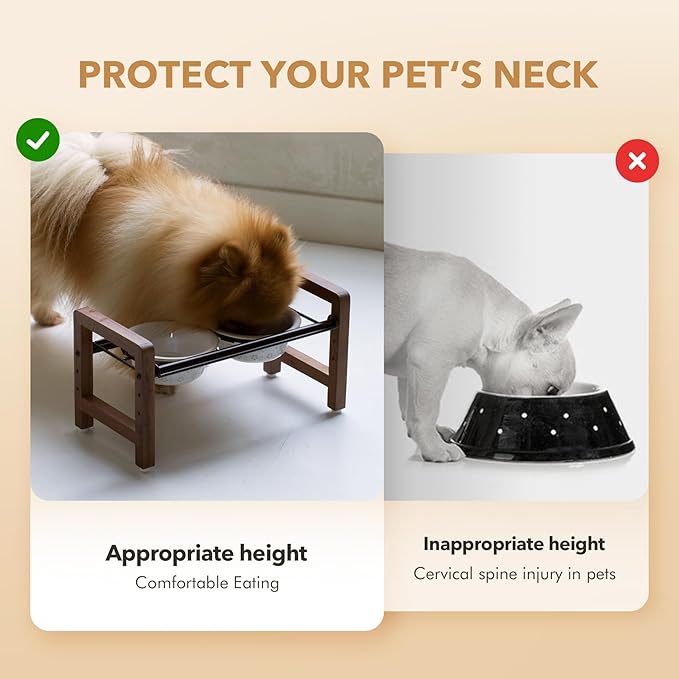 5.5inch Ceramic Adjustable Raised Double Bowls Set with Stand, 3 Heights Elevated, 2 Placement Options,Food and Water Dishes for Puppy, Cats（Double Bowls+Stand, Reactived Glaze -White-PawvioPets