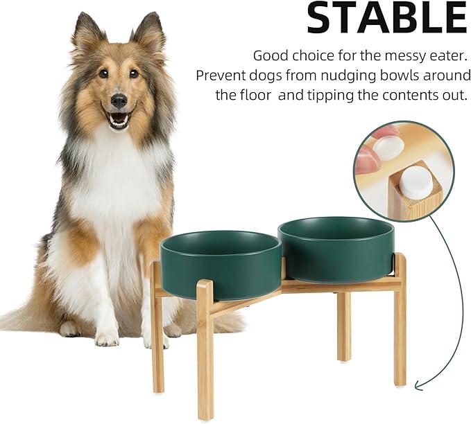 Ceramic Raised Double Bowls Set with Stand, Food & Water Bowls for Large Breed Dogs, Weighted Dog Dishes, Pet Bowl(8.2'',60OZ, Green)-PawvioPets