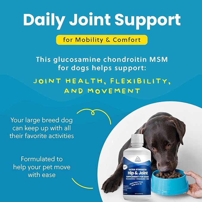 Concentrated Liquid Glucosamine for Large Dogs, Infused with MSM, 5200mg Chondroitin & Glucosamine Liquid for Dogs Hip & Joint Supplement for Mobility & Comfort, 32 oz-PawvioPets