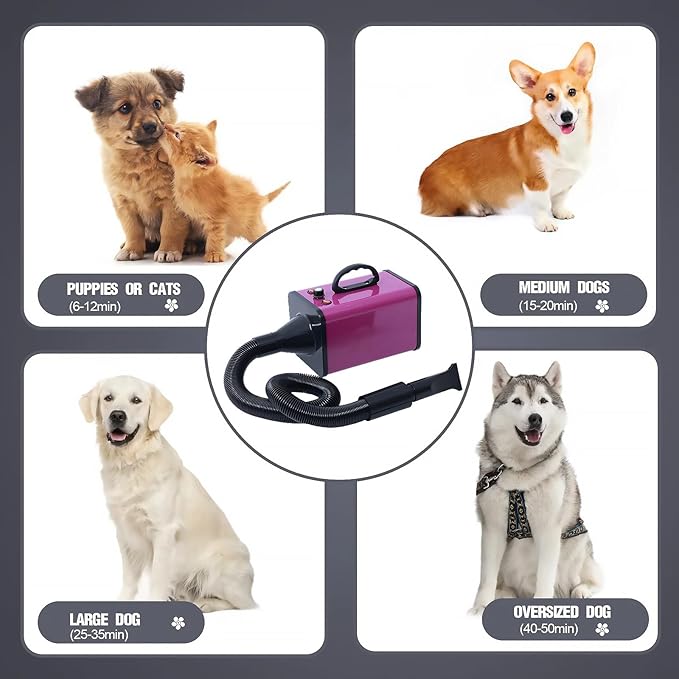 2400w 75m/s Dog Dryer for Pet Grooming, High Velocity Pet Hair Dryer with Heater, Adjustable Speed, 4 Nozzles and a Comb, Purple-PawvioPets