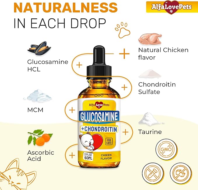 Cat Joint Supplement for All Breeds – Glucosamine for Cats and Kittens – Glucosamine, Chondroitin, MSM for Hip & Joint Care – Natural Ingredients with Chicken Flavor – 2 Oz-PawvioPets