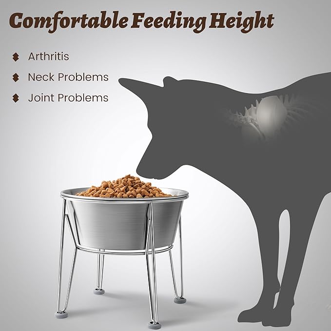 Elevated Dog Bowls for Large & Medium Dogs - Stainless Steel 64oz/8 Cup Raised Feeder with Non-Slip Base, Dual Food & Water Bowls 2-Pack-PawvioPets