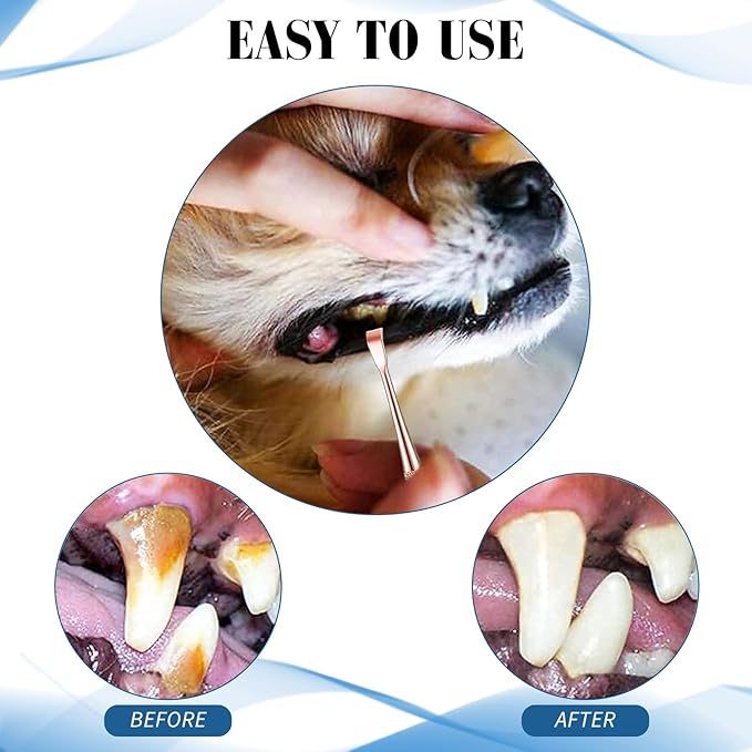 3 Pieces Dog Dental Tooth Scaler and Scraper Stainless Double Headed Tarter Removing Tool Scraper Pet Teeth Cleaning Tools for Dog and Cat (Rose Gold)-PawvioPets